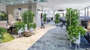 VLK Cresa Terelvalaszto novenyek